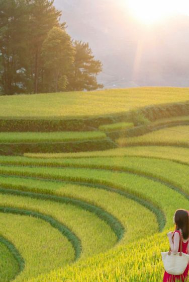 Từ cuối tháng Chín đến giữa tháng Mười là thời điểm đẹp nhất để đi du lịch Mù Căng Chải.