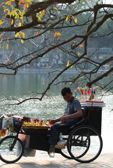 Cây lộc vừng cổ thụ ở hồ Hoàn Kiếm đã trở thành một điểm thu hút với nhiều người dân bởi vẻ đẹp rực rỡ khi lá chuyển màu trong tiết xuân ấm áp.