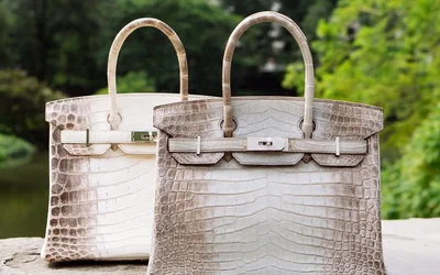 Túi Hermès mang lợi như đầu tư vàng, cổ phiếu S&P 500