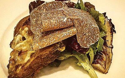 Nấm Truffle là gì và vì sao món ăn này đắt hơn vàng?