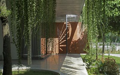 Biệt thự ẩn mình giữa rừng thông đẹp mê mẩn ở Hà Nội