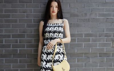 Bộ sưu tập túi xách Burberry của "nữ tài phiệt" Roh Jeong Eui