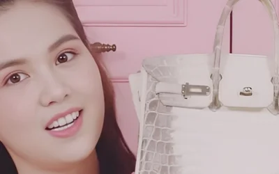 Từ Mailisa đến Ngọc Trinh bị nghi xách túi da cá sấu 'bạch tạng' giả