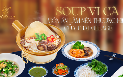 Nhà Hàng Vi Cá Bào Ngư “Đáng Tiền Nhất” Quận 1
