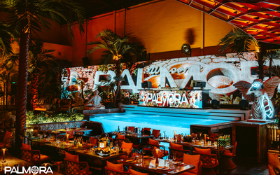 Palmora – khi ẩm thực, giải trí và phong cách sống giao thoa giữa lòng Sài Gòn