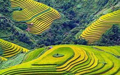 Núi rừng Tây Bắc - Nơi mây trôi trên những bậc thang của núi