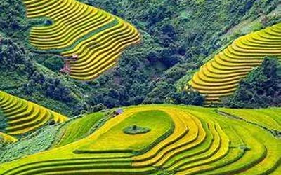 Núi rừng Tây Bắc - Nơi mây trôi trên những bậc thang của núi