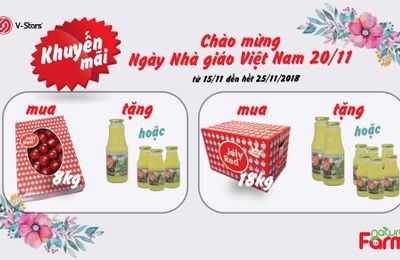 Mua táo Joly Red tặng nước ép táo: quà tặng ý nghĩa cho ngày Nhà giáo Việt Nam