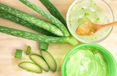 Những tác dụng bất ngờ của lô hội
