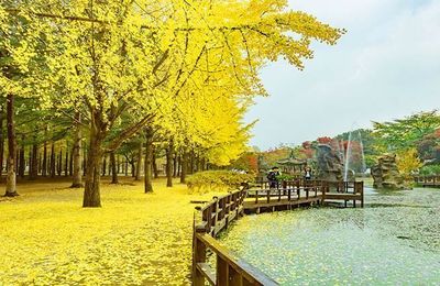 Khám phá đảo Nami đẹp đến nao lòng mùa thu vàng