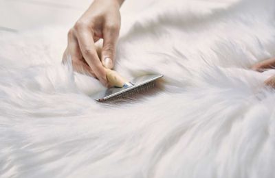 Furmark: Tiêu chuẩn phát triển của thời trang lông thú
