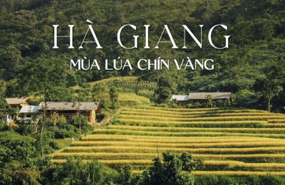 Hà Giang mùa lúa chín vàng khắp vùng trời phía Bắc nước ta