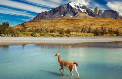 Thiên đường du lịch Chile và những điều bất ngờ thú vị