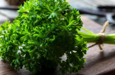 5 thực phẩm dễ kiếm giúp hơi thở thơm tho, tự tin giao tiếp