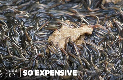 Vì sao Unagi là món ăn đắt tiền của Nhật Bản?