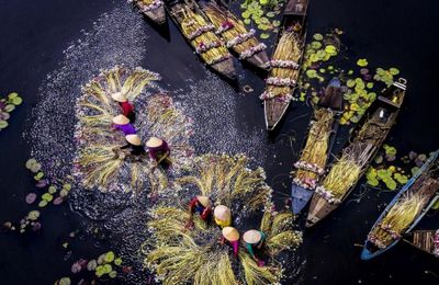 Vẻ đẹp bốn mùa ở miền sông nước Long An