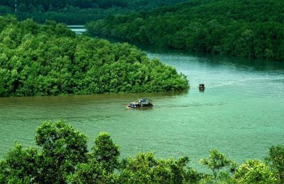 Khu Dự trữ sinh quyển rừng ngập mặn Cần Giờ - “Lá phổi xanh” của TP.HCM
