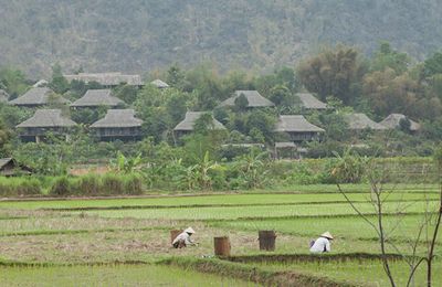 Đến Mai Châu hòa mình vào thiên nhiên núi rừng tĩnh lặng