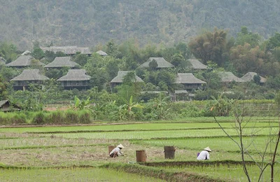 Đến Mai Châu hòa mình vào thiên nhiên núi rừng tĩnh lặng