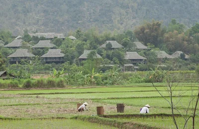 Đến Mai Châu hòa mình vào thiên nhiên núi rừng tĩnh lặng