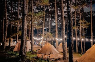 5 điểm cắm trại sang chảnh ở Việt Nam