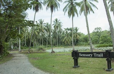 Đến Pulau Ubin “xem lại” những hình ảnh, thước phim của “ngày hôm qua”