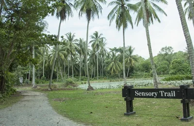 Đến Pulau Ubin “xem lại” những hình ảnh, thước phim của “ngày hôm qua”