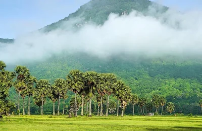 Bảy Núi An Giang - Xứ sở thốt nốt làm say lòng lữ khách