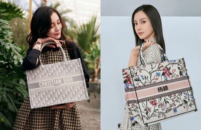 Có nên đầu tư cho chiếc túi xách Dior Book Tote đắt đỏ?