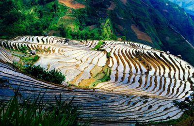 12 cảnh sắc tuyệt đẹp ở Việt Nam không nên bỏ lỡ sau dịch Covid