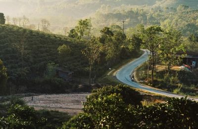 Tôi đã quên đi chính mình ở Năm Mùa Bungalows