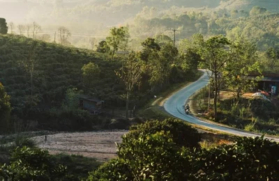 Tôi đã quên đi chính mình ở Năm Mùa Bungalows