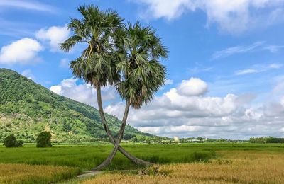 Du lịch qua ảnh Một ngày về mảnh đất vùng biên xinh đẹp