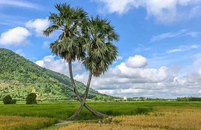 Du lịch qua ảnh Một ngày về mảnh đất vùng biên xinh đẹp