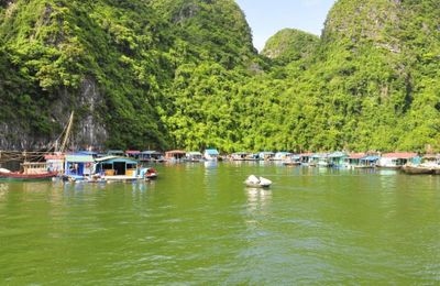 Làng chài Cửa Vạn sánh vai cùng những ngôi làng đẹp nhất trên thế giới
