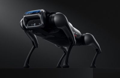 Xiaomi ra mắt robot thú cưng CyberDog