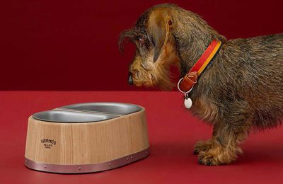 Hermès ra mắt bát đựng thức ăn cho thú cưng có giá 26 triệu VNĐ
