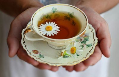 Uống trà hoa cúc có tác dụng gì thần kỳ?
