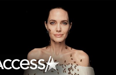 Angelina Jolie chụp hình cùng ong mà không cần mặc đồ bảo hộ