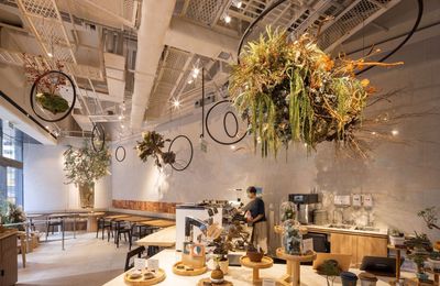 Khám phá cafe thiên nhiên “cực hot” tại Hồng Kông