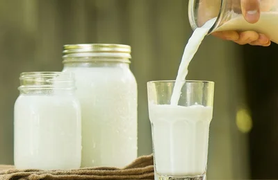Tuyệt chiêu dùng sữa hết hạn chăm sóc khu vườn của bạn