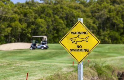 Bên trong sân golf duy nhất có hồ cá mập hung tợn nguy hiểm nhất thế giới