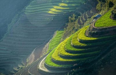 Khám phá thửa ruộng bậc thang lưng chừng giữa mây trời vùng Tây Bắc