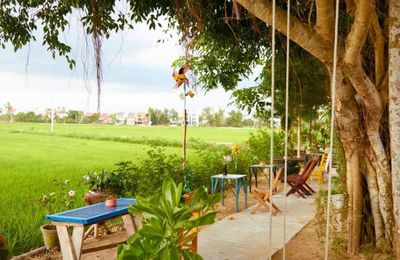 2 tiệm cafe view đồng lúa bình yên ở Hội An nhất định phải ghé
