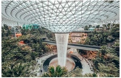 Sân bay Changi (Singapore) chính thức mở cửa đón khách trở lại từ 1/9 sau 3 tháng dừng hoạt động