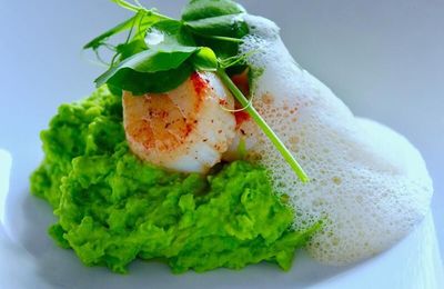 Các món hải sản tươi ngon được gợi ý từ những đầu bếp thượng hạng