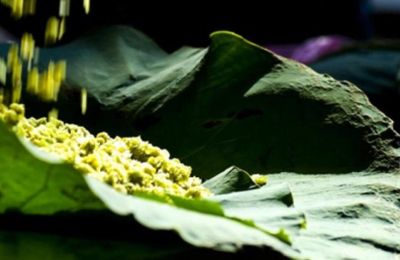 Hồn quê Hà Nội chứa đựng trong từng hạt cốm vòng