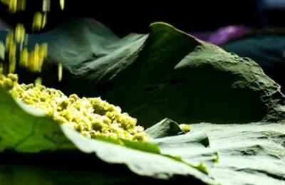Hồn quê Hà Nội chứa đựng trong từng hạt cốm vòng