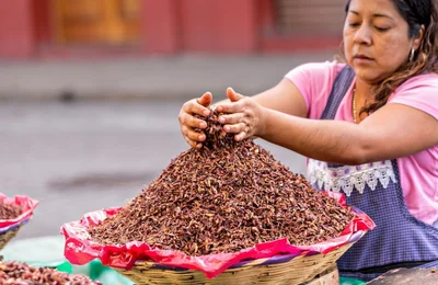 Những món ăn độc lạ nên thử khi đển Mexico