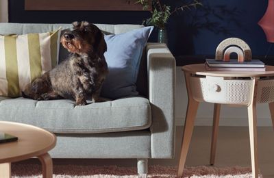 Máy lọc không khí Starkvind từ IKEA - Nâng tầm chất lượng sống!